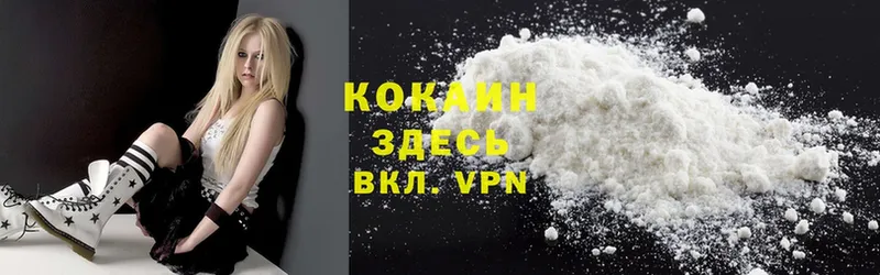 Cocaine Эквадор  дарнет шоп  ОМГ ОМГ онион  Пошехонье 